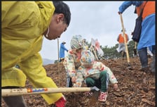 산림청, '범정부 나무심기 TF' 발족… 7개 부처 협업 추진