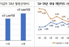 "나도 11만원 돌려받았어요"…'상생페이백' 4개월의 결과는