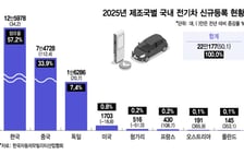 국내 전기차 판매, 3년만에 역성장 탈출했지만…"중국산이 견인"