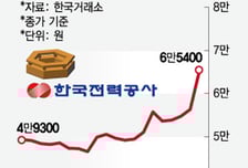 발전사 통폐합설에… 한전 최고가 '번쩍'