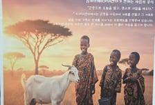 나눔의 기쁨, 아프리카까지…K-농업이 전하는 '자립의 공식'