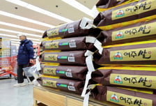 올해부터 '수급조절용 벼' 도입…밥쌀 면적 줄이고 흉작 때 전환