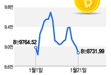 그린란드 사태에 비트코인도 휘청…비트코인 8.8만달러로 뚝↓