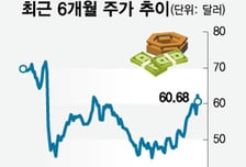 주가 살 찌워준 '먹는 위고비'…노보 vs 릴리 승부에 후발주자도 '미소'