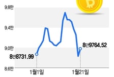 그린란드 충격, 비트코인 '휘청'… 한때 8.8만달러 붕괴