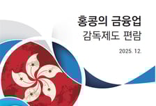 금융사 홍콩진출 지원...금감원, '홍콩 금융업 감독제도 편람'