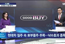 [강재헌의 잠금해제] 현대차 기회의 영역 낙수효과 낙점된 제어 부품사는?