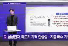 [메가사이클] 메모리 가격 또 인상…삼전닉스 지금도 매수?
