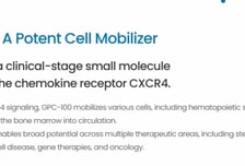 엑시큐어, '부릭사포' 임상 2상 결과 발표… "당일 줄기세포 채집 혁신"