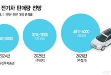 독일 보조금 부활 때문에 웃는 중국 전기차 배터리..한국은?
