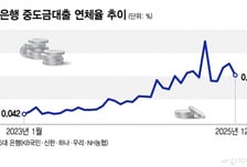 '중도금대출 연체율' 급등세… 6·27 부동산규제 나비효과