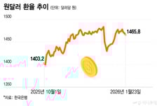 치솟은 환율, 언제 꺾일까?…지난 12번 구두개입 사례 보니