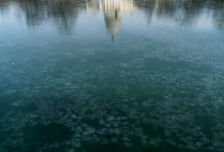 미국 전역에 대형 폭풍…전력 마비되고 하늘길도 막혔다