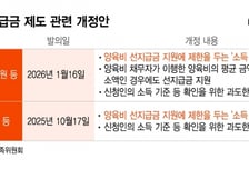 국가가 미리 챙겨주는 양육비, 소득수준 제한없이 모두 받나