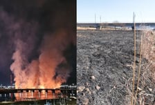 새까맣게 타버린 태화강 억새밭..."라이터로 불 질렀다" 50대 자백