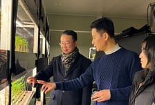 영광군, '새싹인삼' 일본 수출 본격 추진