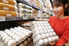 계란 한판이 5990원…미국산 백란' 30일부터 마트서 살 수 있다