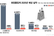 'K뷰티' 잘 나가는 줄만 알았는데…작년 엇갈린 성적표, 왜?