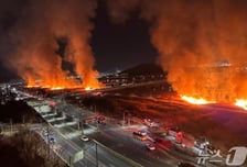 자전거 타며 6번 불 지르고 지켜봐…태화강 억새밭 잿더미 만든 50대