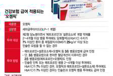 당뇨약 '오젬픽' 내달부터 건보급여… '오남용 차단'에만 무게?