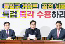 국민의힘 "트럼프 '韓 관세 인상', 국회 비준 외면한 이재명 정부 책임"