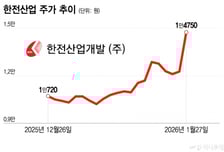 "정부가 밀어준다" 오늘만 20% 껑충…새해부터 달리는 이 주식