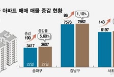 "버티면 손해" 압박에 다주택자 움직였지만…30억짜리 급매? 그림의 떡