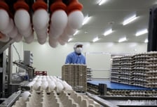 '한판 5990원' 미국산 계란 풀리는데..."판매 불가능한 수준" 산지 반발