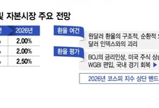 "올 GDP성장률 2% 수준 예상, 코스피 최고 6000까지 열렸다"