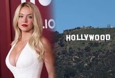 LA '할리우드 사인'에 속옷 줄줄이 건 여배우…"기물 파손" 뭇매