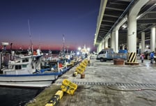 해수부, 서울면적 4배 크기 인천·경기 연안 야간 조업금지 빗장 열린다
