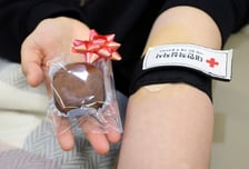 "두쫀쿠 공짜로 받자" 몰려가 피 뽑았다...헌혈자 쭉쭉, 놀라운 효과