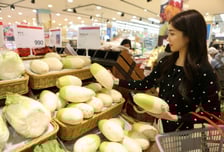 롯데마트, 설 앞두고 '밥상 물가 안정 기획전'…상생 무 990원 판매