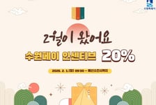 "50만원 충전하면 10만원 준다"…설맞아 수원페이 인센티브 '20%'