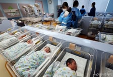 30대 후반 직장인 출산율 쑥..."아이 낳아야지" 결심한 배경 있었다