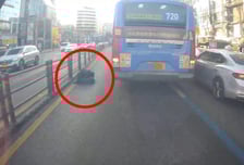 "별의별 경우를 봤는데"...버스전용도로서 낮잠 '쿨쿨'