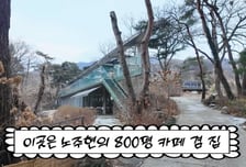 아내 구박에도 800평 땅 산 배우 노주현…"아파트 두채값 됐다"