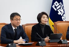 與한정애 "관세협상 비준, 국익 반할 수도…대미투자특별법 협조를"