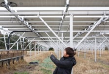 일본 농촌 살리는 논밭 위 태양광…청년 농부도 늘린다[르포]