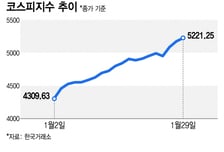 "개미가 코스피 끌어올렸다"…3일 연속 최고치 찍고 5200 돌파