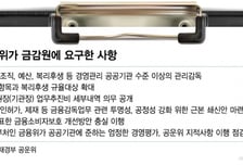 금감원 공공기관 지정 유보, 통제 강화·고강도 쇄신 추진