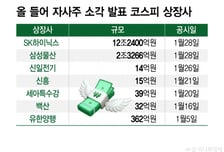 하이닉스 통큰 환원, 자사주 소각 열풍 부나