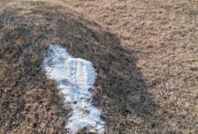 조상님 주무시는데 몹쓸 짓을...묘지 11기에 '소금 테러'