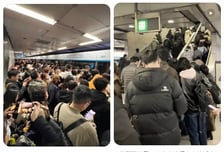 "몽클레르 필요 없다, 한국인처럼 입자"...중국서 '못생긴' 패딩 유행