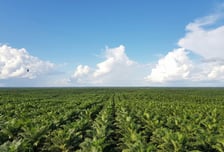 포스코인터내셔널, 공격적 자산 확대·운영 효율화-미래에셋증권