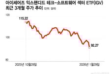 美 소프트웨어 업종, 침체장 진입…AI 발전의 최대 피해주?