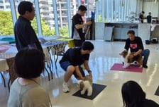 전문대, 해외 현지 실무 경험 갖춰 '취업 지름길' 연다