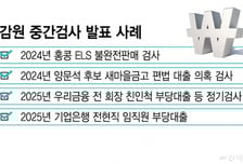 [단독]금감원, '멋대로' 중간검사 발표 못한다..검사·제재 쇄신안 마련