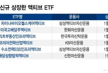 '100조 눈앞' 액티브ETF, 규제완화 날개 달까