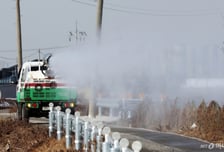 강원·경기·전남까지 번진 ASF…설 수요 겹쳐 돼지고기값 불안
